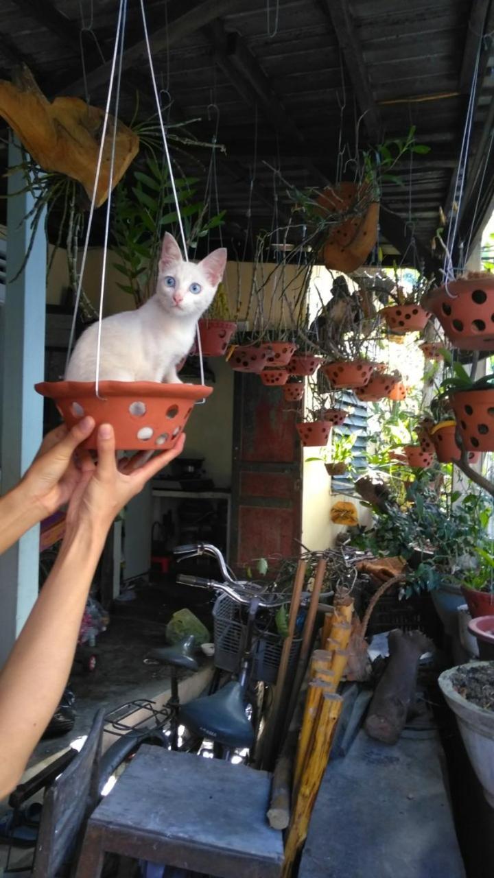 Hue Happy Homestay Exterior foto